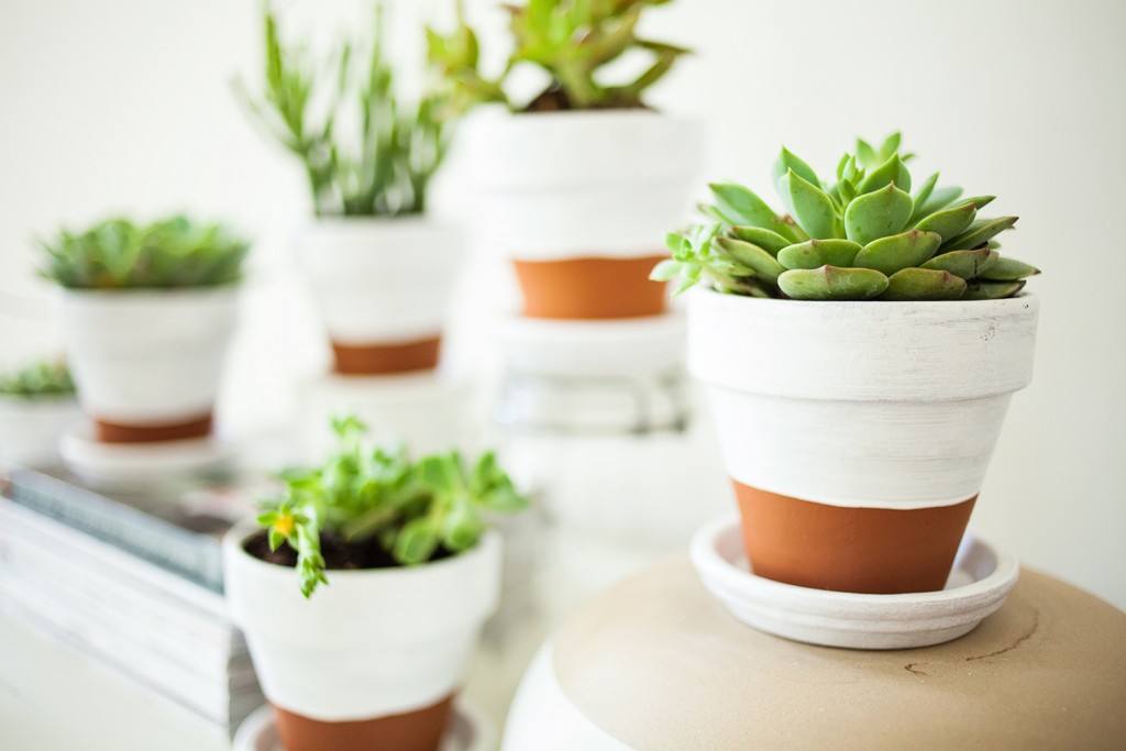 Flower-pots-White-Dipped